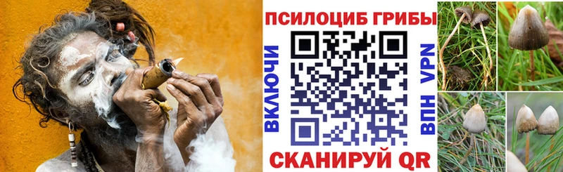 Галлюциногенные грибы Magic Shrooms  Урус-Мартан 